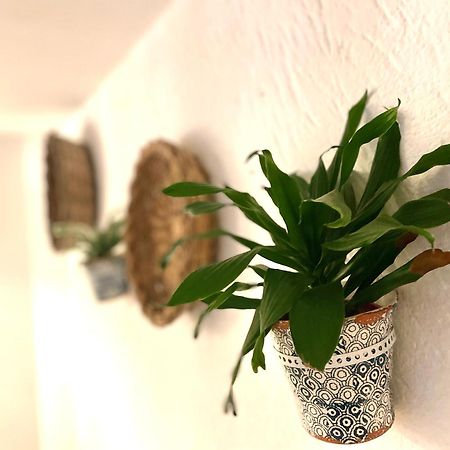 Casa Mia Villa Mola di Bari Bagian luar foto