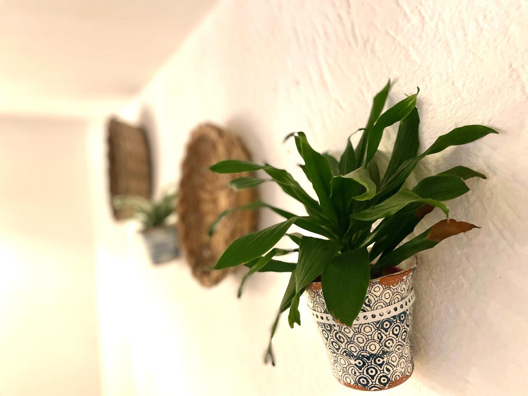 Casa Mia Villa Mola di Bari Bagian luar foto